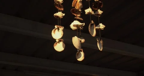 Natural Shell Wind Chime in Soft Evening Light Stock Footage 340396913