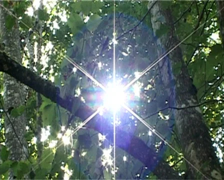 Natural shining sun Video stock 306475