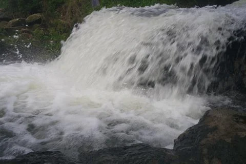 Natural shower Foto stock