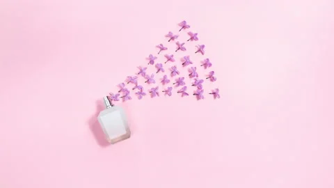 Natural single lilac flowers sprayed from a white perfume bottle. Stock Footage 194452152