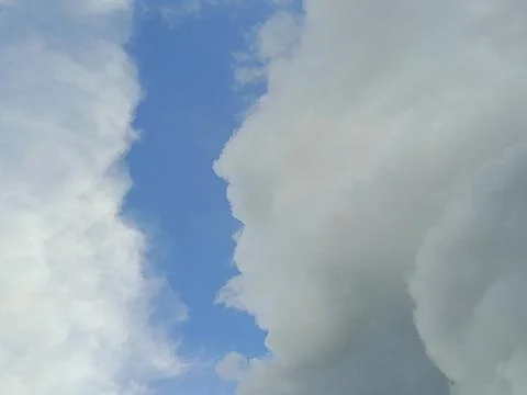 Natural Sky And Tree Landscape Photograph Blue Sky With White Clouds And Gr Stock Photos
