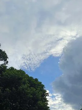 Natural Sky And Tree Landscape Photograph Blue Sky With White Clouds And Gr Stock Photos