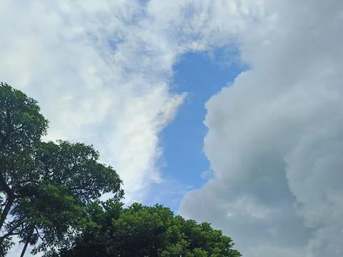 Natural Sky And Tree Landscape Photograph Blue Sky With White Clouds And Gr Stock Photos