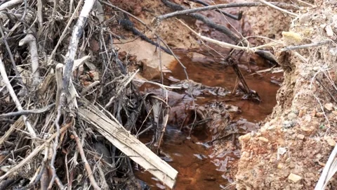Natural small stream of water Stock Footage 154785606