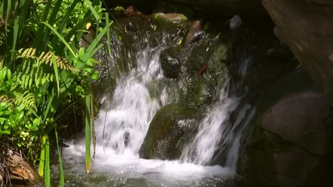 Natural small waterfall Stock Footage 92582819