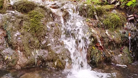 Natural Small Waterfall Over Mossy Rock Surrounded by Leaves Видео 288041856