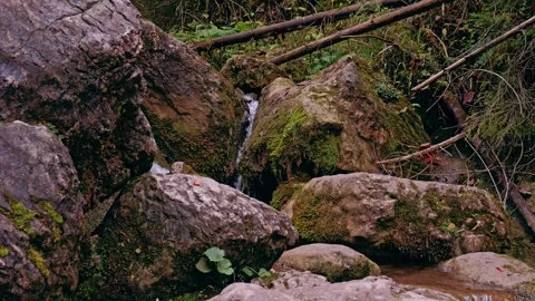 Natural Small Waterfall Over Mossy Rock Surrounded by Leaves Видео 288094412