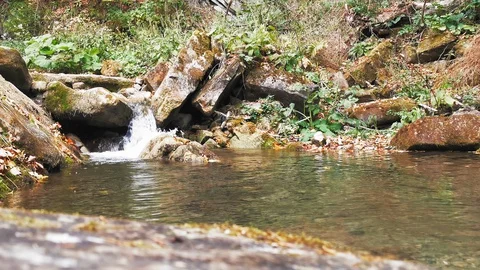 Natural small waterfall with a small spring water pool. Carpathian Mountains Stock Footage 129959353