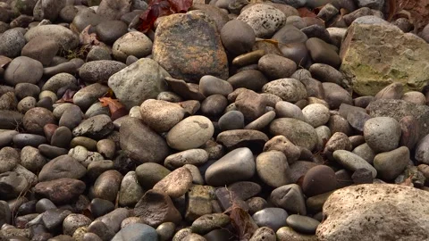 Natural Smooth River Rocks and Stones in Backyard Garden Stock Footage 345007996