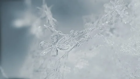 Natural Snow Crystal Macro Stock Footage 172115091
