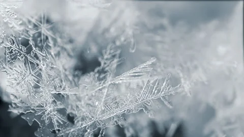 Natural Snow Crystal Macro Stock Footage 172115638