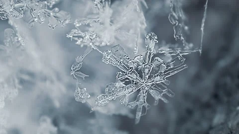 Natural Snow Crystal Macro Stock Footage 172117366