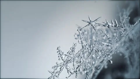 Natural Snow Crystal Melting Stock Footage 172116796