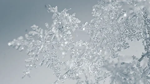 Natural Snow Crystal is Shining - Macro Stock Footage 172116333
