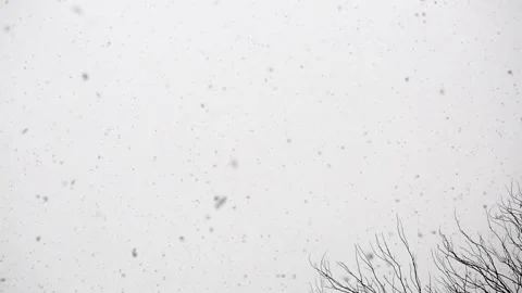 Natural snow falling isolated on white background Stock Footage 155923379