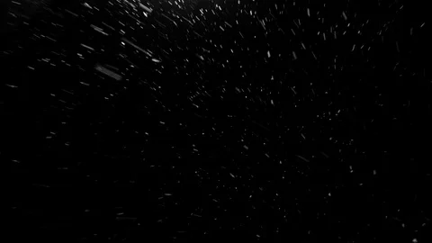 Natural snow particles. black background Stock Footage 101281600