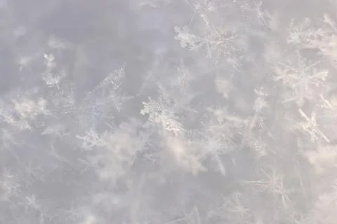 Natural Snowflake Texture. Macro Closeup. Cold Winter Background. Foto stock