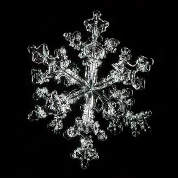 Natural snowflakes Stock Photos