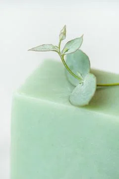 Natural soap with eucalyptus on a gray background Stock Photos