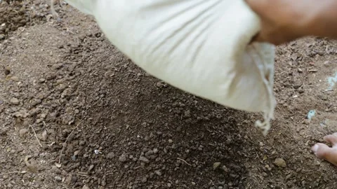 Natural soil enhancement using vermi compost with garden soil at outdoor Stock Footage 311017074