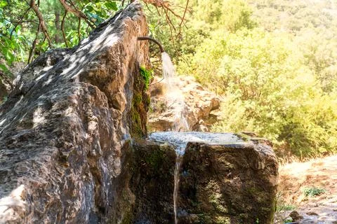 Natural source on the Borosa river path, Sierra de Cazorla. Stock Photos