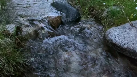 Natural source of clean water in the mountains Stock-Footage 135333980