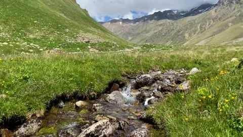 Natural source of clean water in the mountains. Alpine meadows Stock Footage 135333997