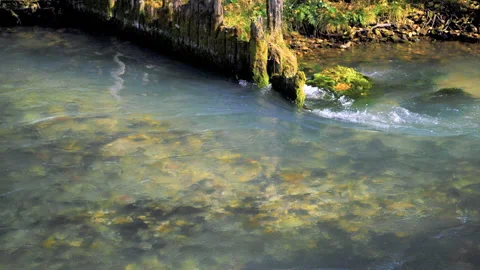 The natural source of the Red Key in Bashkiria is blue. At sunset in autumn Stock Footage 132792584