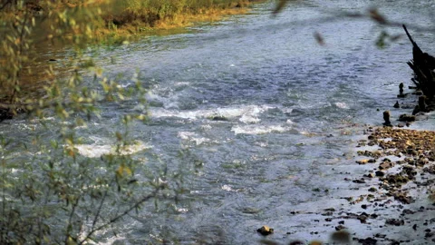 The natural source of the Red Key in Bashkiria is blue. At sunset in autumn Stock Footage 132792628