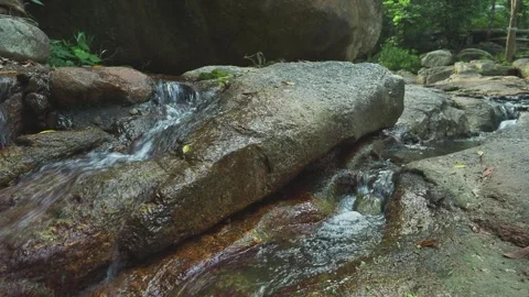 Natural source of water in rain forest Stock Footage 332035571
