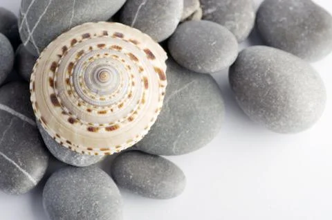 Natural spa elements- seashell with starshell and stones on whit Stock Photos