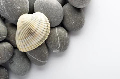 Natural spa elements- seashell with starshell and stones on whit Stock Photos