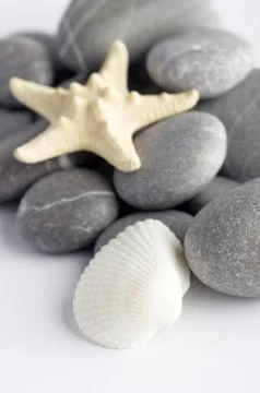 Natural spa elements- seashell with starshell and stones on whit Stock Photos