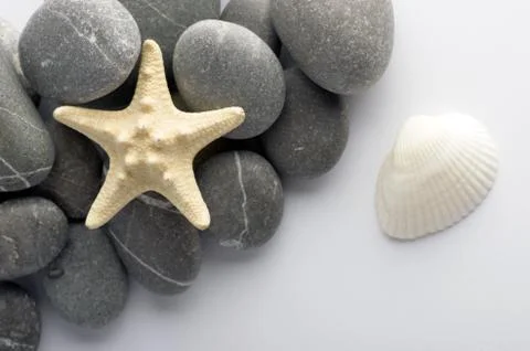 Natural spa elements- seashell with starshell and stones on whit Stock Photos