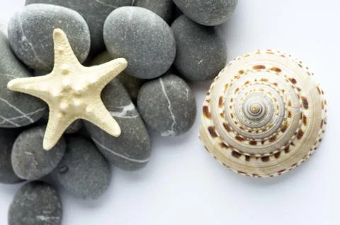 Natural spa elements- seashell with starshell and stones on whit Foto stock