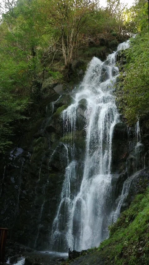 Natural spaces with water Stock Footage 290052991