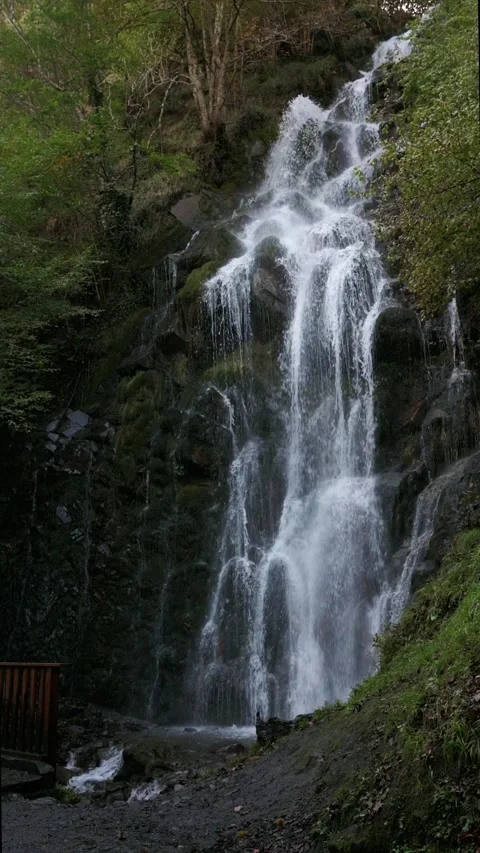 Natural spaces with water Stock Footage 290052992