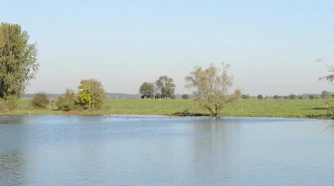 Natural spectacle Stock Footage 11134606