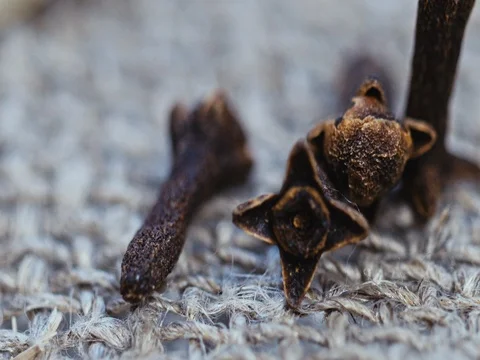 Natural spices on a linen background Video stock 73554508