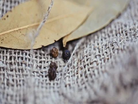 Natural spices on a linen background Stock Footage 73554549