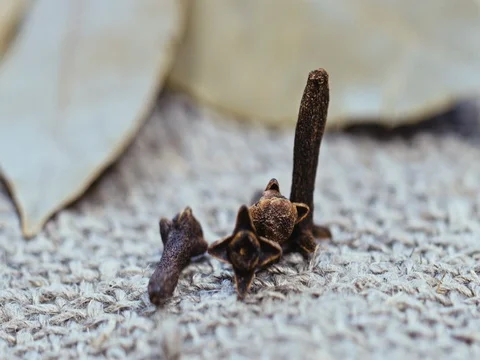 Natural spices on a linen background 스톡 동영상 73555322