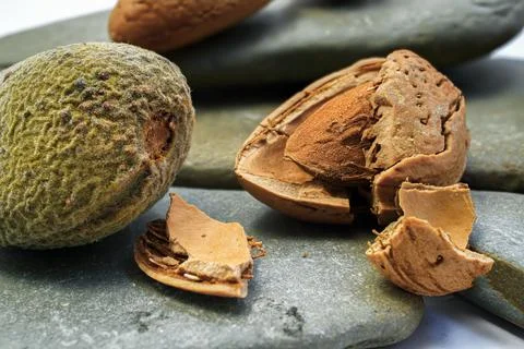 Natural split almonds in the foreground Stock Photos