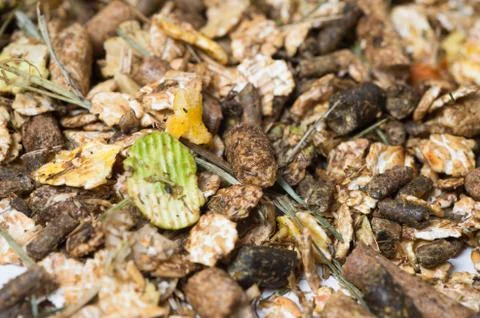 Natural sportive  basic muesli  background. for horse.macro Stock Photos