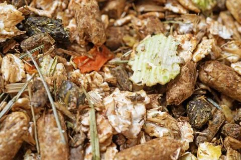 Natural sportive  basic muesli  background. for horse.macro Stock Photos