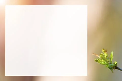 Natural spring close up background with selective focus Foto stock