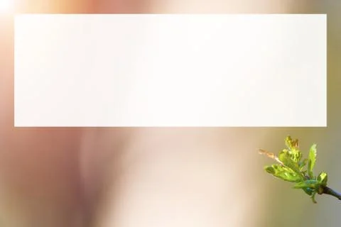 Natural spring close up background with selective focus Stock Photos