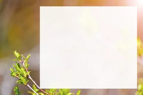 Natural spring close up background with selective focus Stock Photos