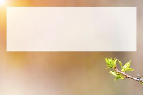 Natural spring close up background with selective focus Stock Photos