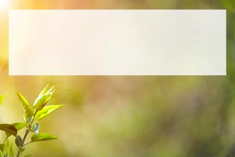 Natural spring close up background with selective focus Stock Photos