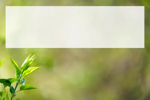 Natural spring close up background with selective focus Foto stock